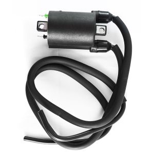 Ignition Coil 12v CDI Twin Lead 2 Terminal CBR1100XX (80mm)