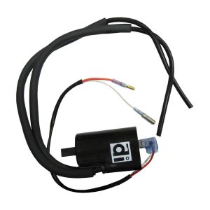 Ignition Coil 12v Points Twin Lead (90mm)Boyer Bransden Sty