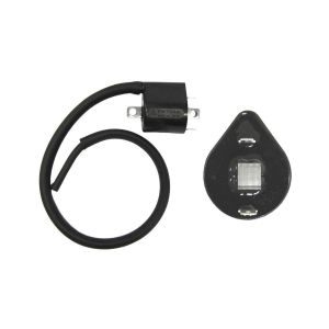 Ignition Coil Suzuki 33410-06G00 17G00 33420-41F10 06G 17G00