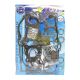 Full Gasket Set Suzuki GSX600FJ-R, GSF600 88-04