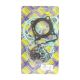 Full Gasket Set Yamaha YFM450FGIZ Grizzly(IRS)03-10,YFM400 00-04,