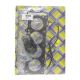 Full Gasket Set Kawasaki ZX12R(ZX1200B3H,B4H,B6F)04-06