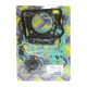 Full Gasket Set Aprilia 500 Atlantic 02-04, Scarabeo 500 03-06, X9 00