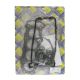 Full Gasket Set Kawasaki ZX-6RR(ZX600M1H)04