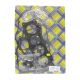 Full Gasket Set Kawasaki ZX-6R(ZX636C6F)05-06